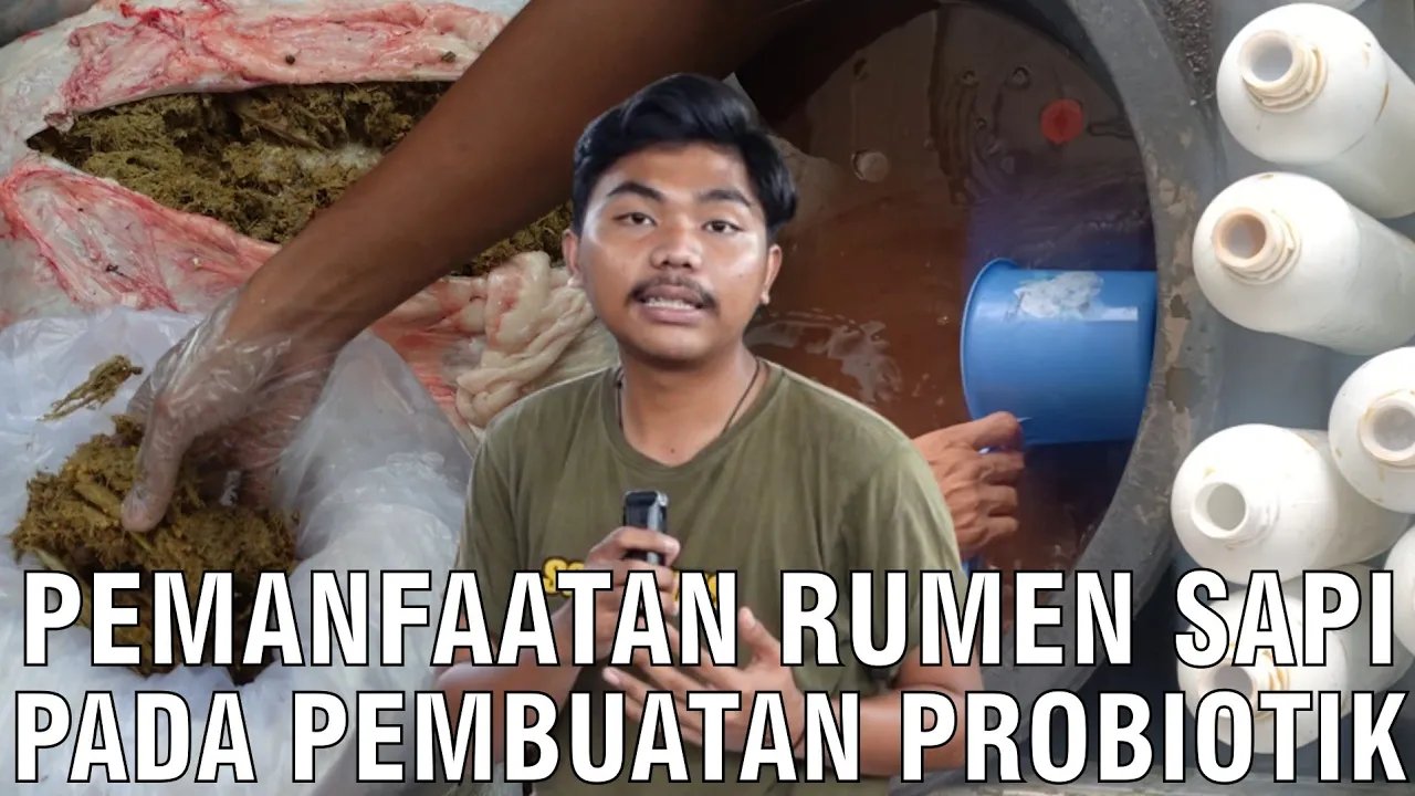 
                                 Pemanfaatan-Rumen-Sapi-Pada-Pembuatan-Probiotik